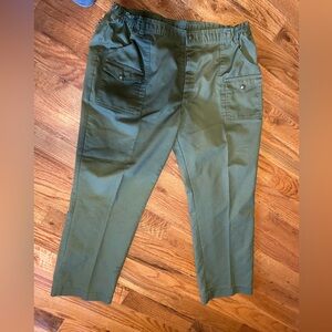 Men’s or adult boys, Boy Scouts of America, dark green khaki / army green pants.